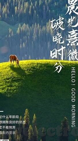 泰甲足球比分-泰甲风云，绿茵场上的热血激战与比分背后的故事