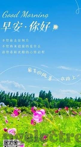 足球比分机构-足球比分机构，数据背后的竞技场与商业博弈