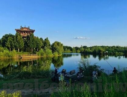 足球比分直播希腊-足球比分直播希腊，绿茵激情实时传递的窗口